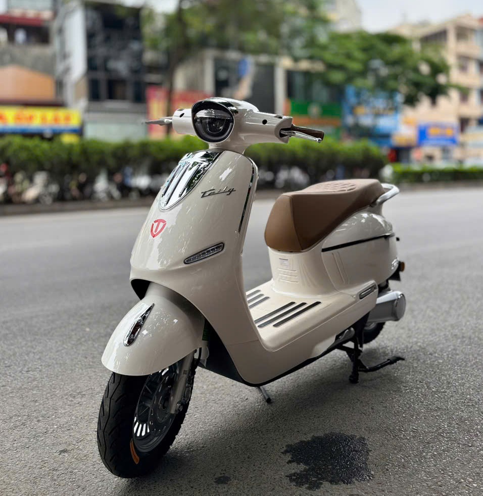 Xe máy điện có tuổi thọ thực tế là bao nhiêu năm?