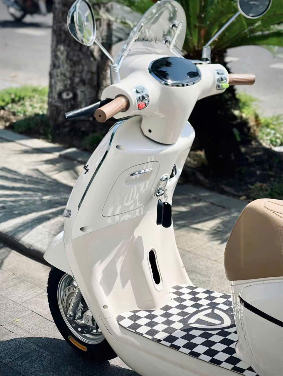 Nhiều mẫu xe điện được ưa chuộng v&igrave; dễ đi v&agrave; &iacute;t ph&aacute;t sinh chi ph&iacute;