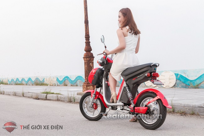 Xe đạp điện Nijia Dibao dành cho học sinh