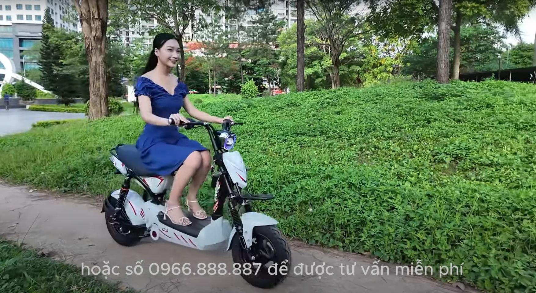 xe điện dt bike 12a