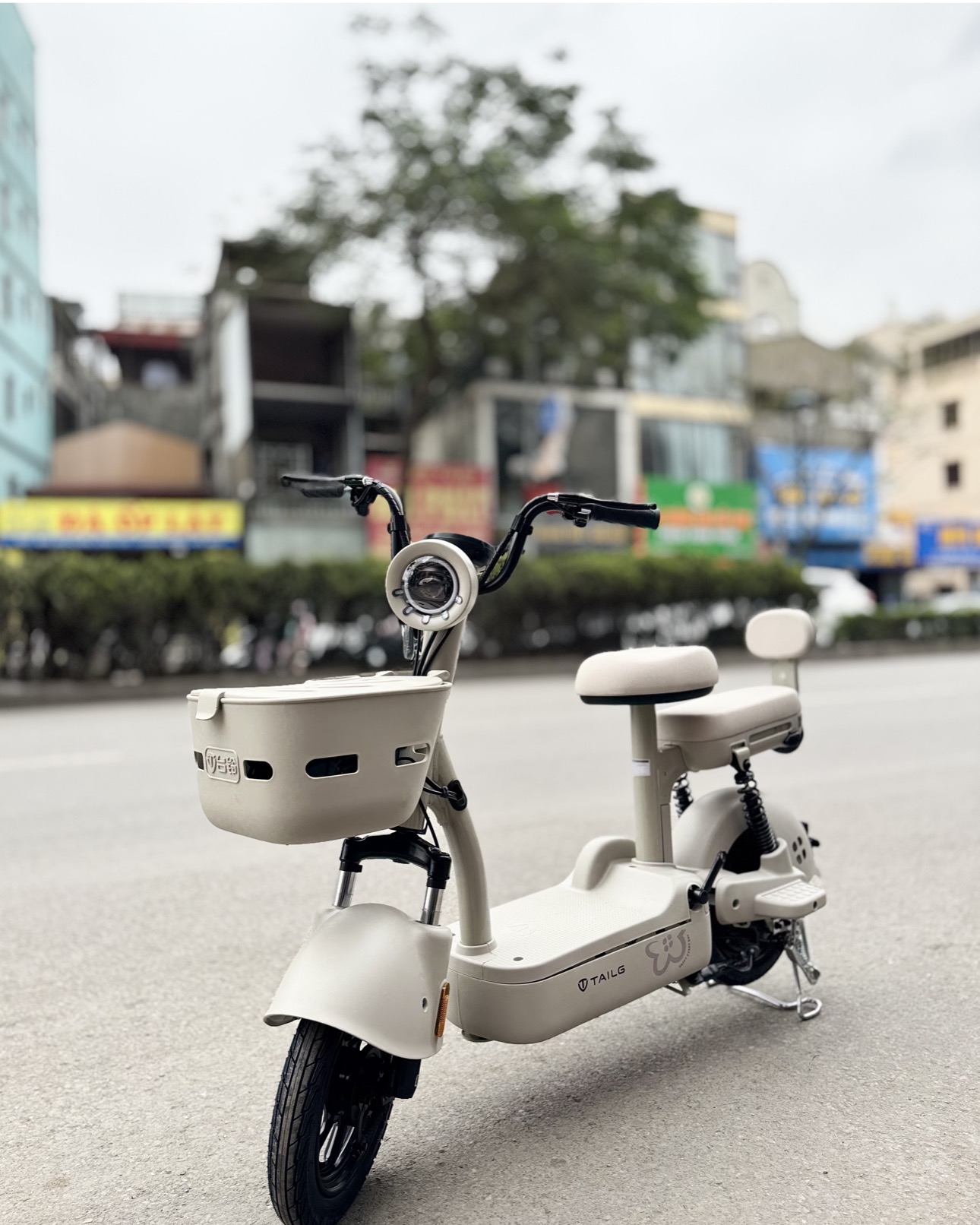 đánh giá xe đạp điện tailg jy33 mini bike