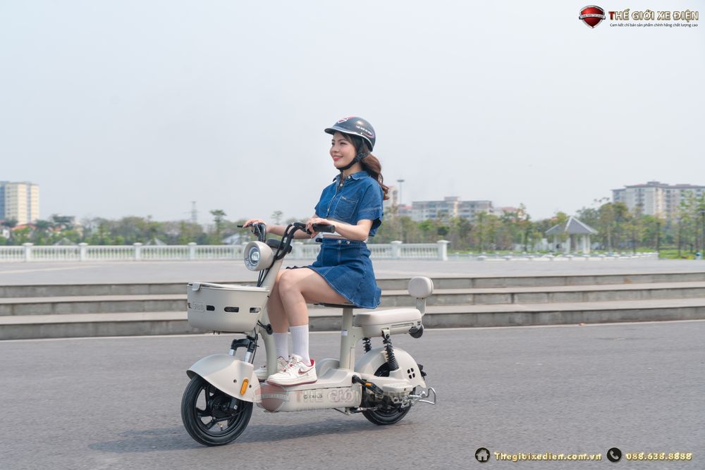 đánh giá xe đạp điện tailg jy33 mini bike