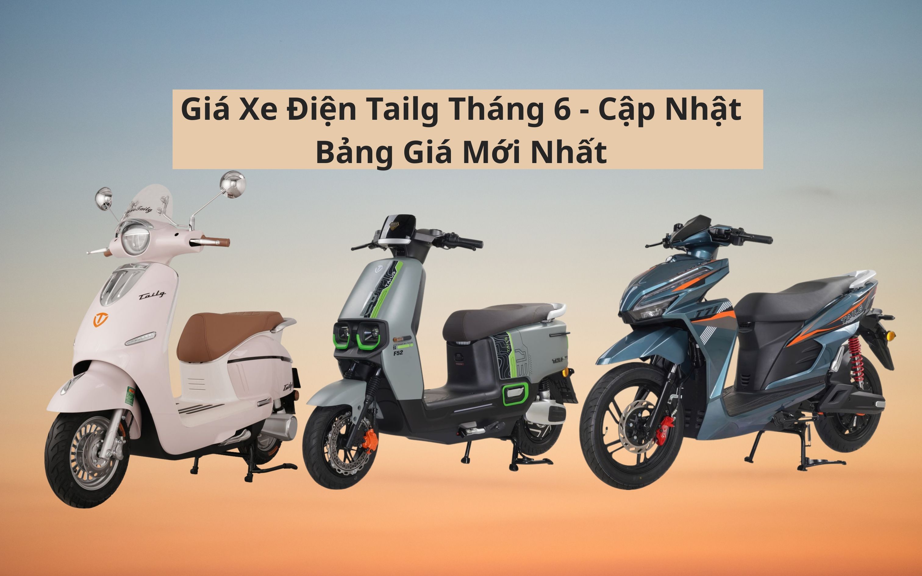 giá xe điện tailg tháng 6