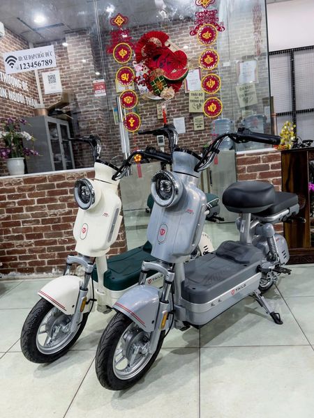 Ưu điểm xe đạp điện Tailg JS32 về ngoại hình, động cơ và tính năng