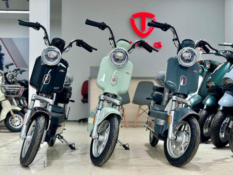 Ưu điểm xe đạp điện Tailg JS32 về ngoại hình, động cơ và tính năng