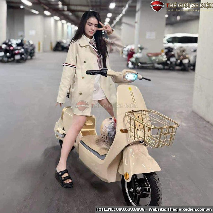 Xe Đạp Điện Dylexe VC K1 