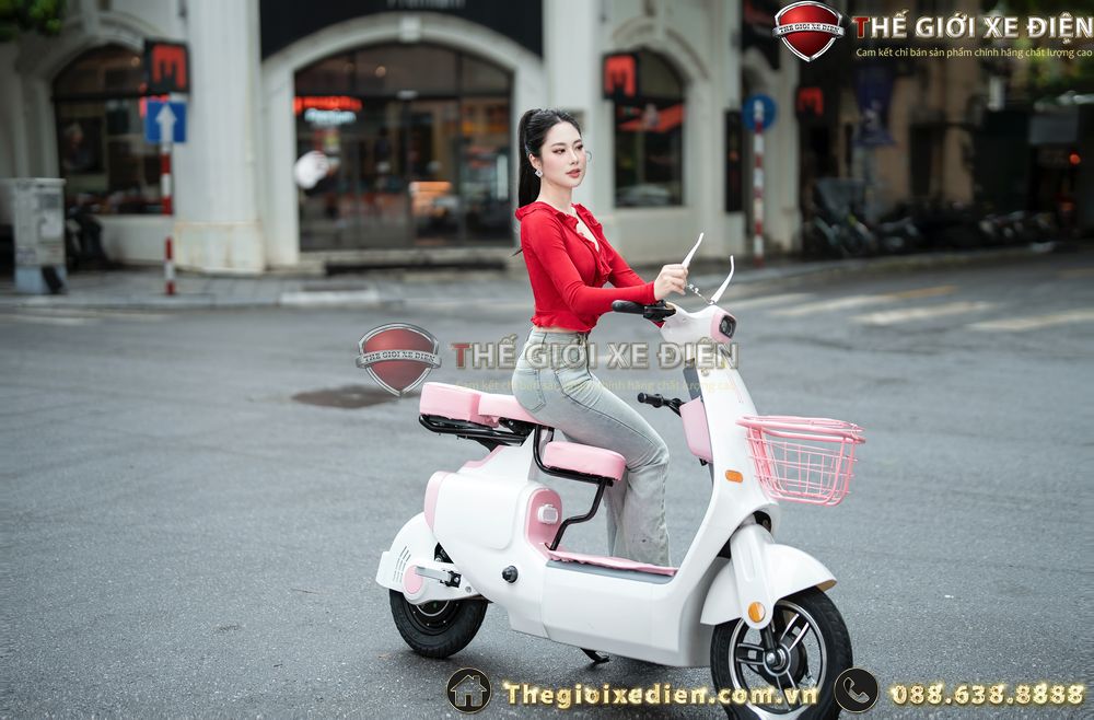 Xe Đạp Điện Dylexe VC K1 